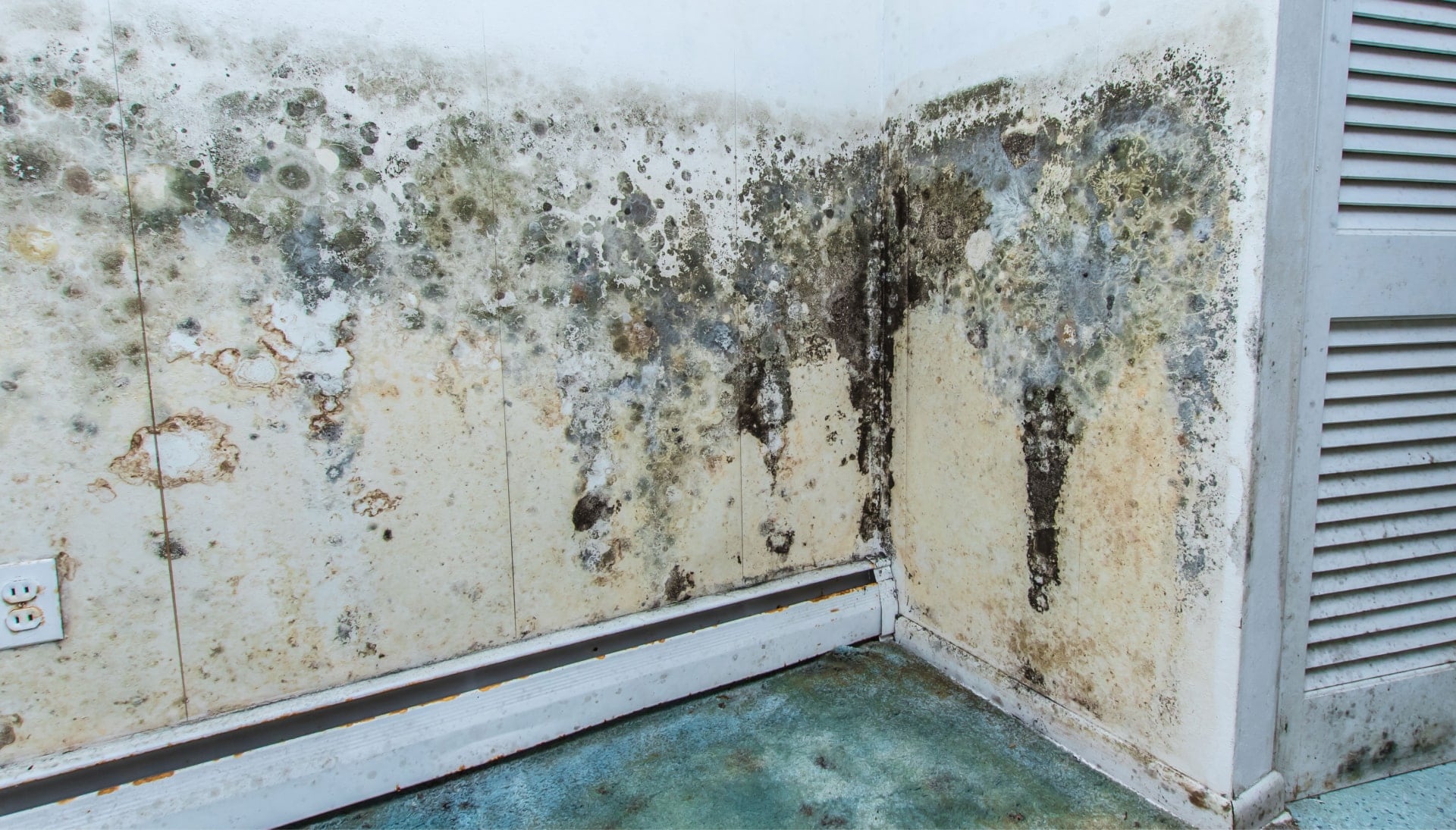 Professional mold removal, odor control, and water damage restoration service in Cary, North Carolina.
