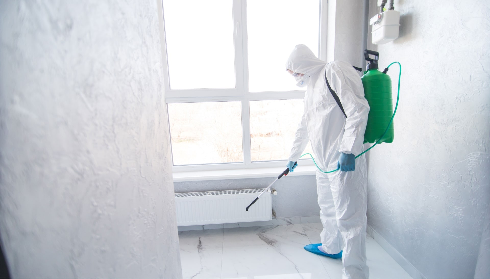 We provide the highest-quality mold inspection, testing, and removal services in the Cary, North Carolina area.